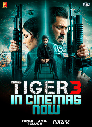 TIGER 3 - IN CINEMAS NOW