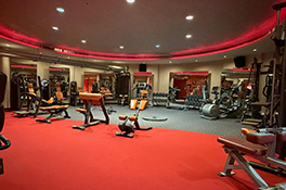 Gymnasium